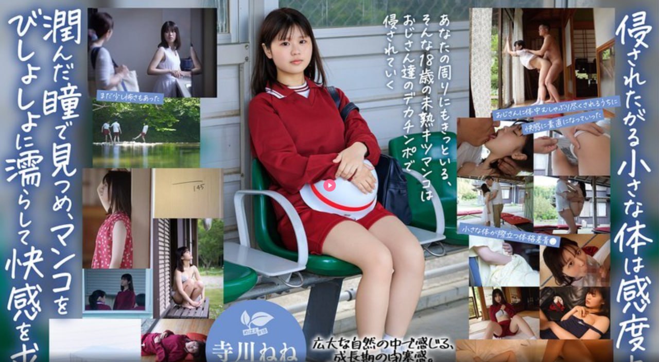 b站的投币有什么用メイリン モデルコレクション メ高清在线观看